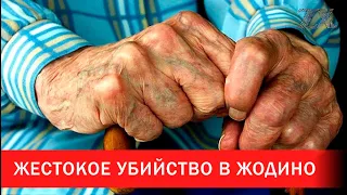 Подробности жестокого убийства в Жодино | Зона Х