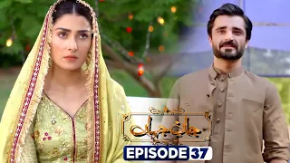 Jaan E Jahan Episode 37 - Jaan E Jahan 37 - ARY Digital - Daily Drama