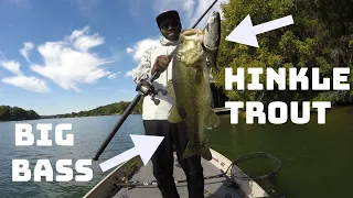 Texas Bass Love Eating Big Glide Baits! Fishing Big Swimbaits In Texas!