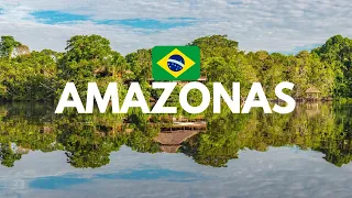 10 lugares que debes conocer del AMAZONAS de BRASIL 🌱🐊🐒🇧🇷