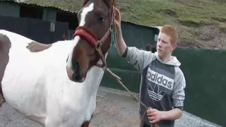 Tales of the Road: A unique insight into men's lives and their horses