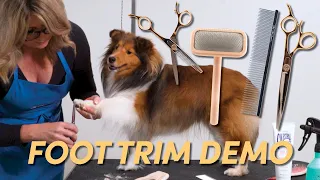 How to Trim Your Dog’s Feet: Double Coated Dogs