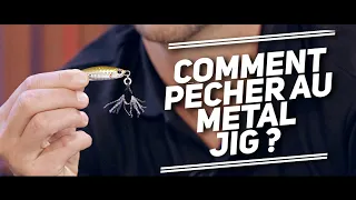 COMMENT PÊCHER AU METAL JIG ? // LES MEILLEURS PROJETS DE LA PÊCHE EN FRANCE 🐟Fishing Club EP26🐟