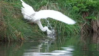 Horn Mill Trout Farm - Rutland April 2024