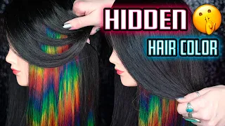 HIDDEN Rainbow Hair Color