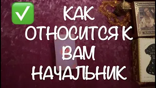 Начальник -Подчиненный‼️🔔 Как он относится к Вам сейчас/Гадание  на Таро он-лайн🔮Тиана Таро