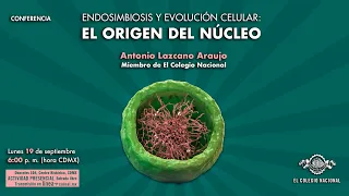 Endosimbiosis y evolución celular: el origen del núcleo