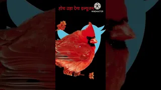 होश उड़ा देगा इल्यूजन 100 %  #illusion #shortvideo #shortsvideo #viral #funny #shorts #short