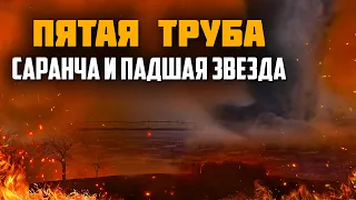 Кто такая саранча из Книги Откровение и когда она выйдет? Последнее время. Проповеди христианские