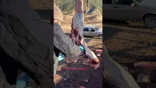 Разделка ляжки большого быка на сушку / Большой бык из Дагестана / Разделка мяса на сушку