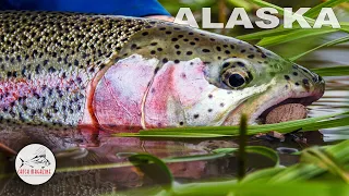 Alaska Fly Fishing with a Mouse Fly - Aniak by Todd Moen