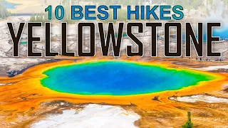Yellowstone National Park's 10 Best Hikes