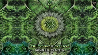 Owntrip & Stlkr - Sacred Plants