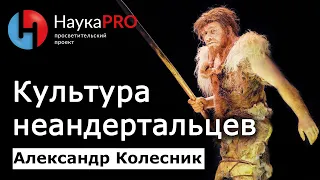 Культура неандертальцев, их разновидности и окружение – Александр Колесник | Лекции по археологии