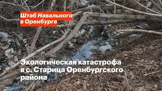 Экологическая катастрофа в с. Старица Оренбургского района
