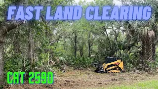 Clearing land for New Home in Florida: It's Not as Difficult as You Think! | Forestry Mulching