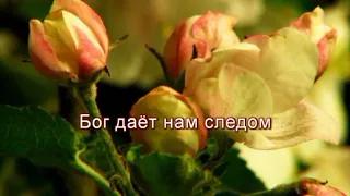 Льдинки - Минус