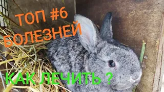 Самые распространенные болезни кроликов //Лечение//Жизнь в деревне!!!