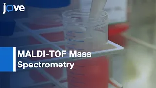 MALDI-TOF Mass Spectrometry used to study Macrophage Activation | Protocol Preview