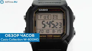 Обзор часов Casio Collection W-800HG-9A. Японские наручные часы. Alltime