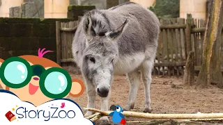 StoryZoo en Español | ¡Aprende sobre Burro | Animales en el zoológico | #storyzoo
