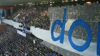 coreografia derby samp genoa