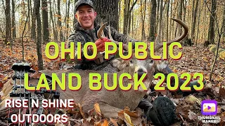 2023 Ohio Public Land Buck Down