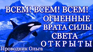 ВСЕМ! ВСЕМ! ВСЕМ! ОГНЕННЫЕ ВРАТА СИЛЫ СВЕТА ОТКРЫТЫ⚡️@novoe_probujdene_chelovchestva