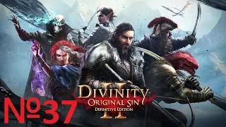 Divinity Original Sin 2 Definitive Edition №37 Арена Дрифтвуда в слепую