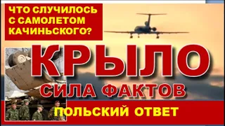 СОЛОНИН, ЗАСТРЕЛИТЕСЬ ! ВЫ ЛЖЕТЕ! КАТАСТРОФА САМОЛЕТА КАЧИНЬСКОГО В ПОЛЬСКОМ ФИЛЬМЕ   "СИЛА ФАКТОВ"