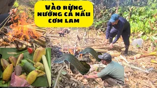 NVT | VÀO RỪNG BẮT CÁ SUỐI HÁI RAU RỪNG NẤU CƠM LAM - PHẦN 4