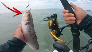 Using Big Bait to Catch Big Fish (river monster)