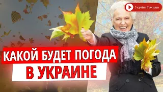 Дождливая погода в Украине сменится солнцем и теплом до +16