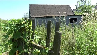 В Рыбинске горело полузаброшенное садоводство