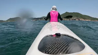 順風滑浪，香港西貢清水灣，東風四五級就是出海的好天氣。順風時速度如何提上12公里以上是我的大問題。#Downwind，20240514.HongKong.#ShenghuaYang#Solo#