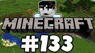 Sips Plays Minecraft (11/9/19) - #133 - Lots of Ice