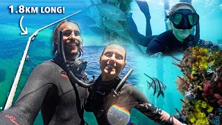 We Freedive the LONGEST Jetty in the Southern Hemisphere (The Busselton Jetty) | Ep. 27