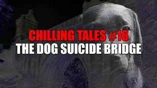 Chilling Tales #16: "The Dog Suicide Bridge"