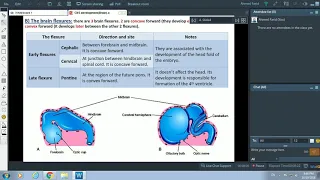 Embryology of Nervous System (2) - The Brain - Dr. Ahmed Farid