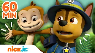 PAW Patrol | Aventuras y rescates ANIMALES de PAW Patrol 🐯 | Compilación de 60 minutos | Nick Jr.