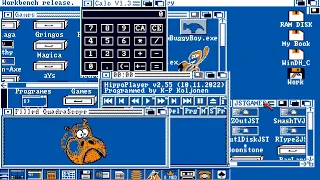 AMIGA OCS WORKBENCH 1.3 READY HD HARD DISK VINC WITH GAMES Whdload & UTILITIES AND TOOLS THANKS VINC