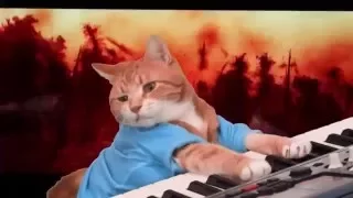 Keyboard Cat Awakens The Force