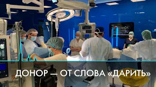 Доноры и трансплантация органов. Дарить надежду на жизнь