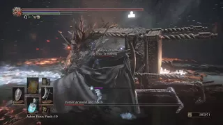 Sister Friede & Father Ariandel--Boss Fight--Dark Souls 3 NG+4