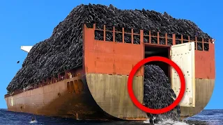 They Dumped 2 Million Tires Into The Ocean. Fifty Years Later The Results Are Shocking!