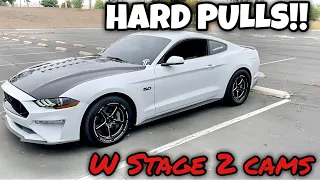 HARD PULLS In My Cammed 10 Speed Mustang GT!