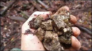 Exploring A 1 1/2 OZ Per Tone Mine, In Gold Hill Oregon.