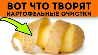 Вот они! 7 тайных способов применения картофельных очисток!