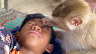 ASMR Grooming| Little Monkey Zueii Checking Her Brother Eye