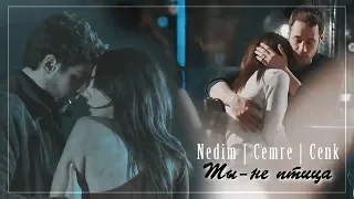 Nedim & Cemre & Cenk - Ты не птица